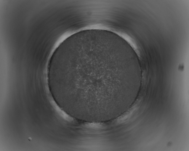 X0000101140998200807071122