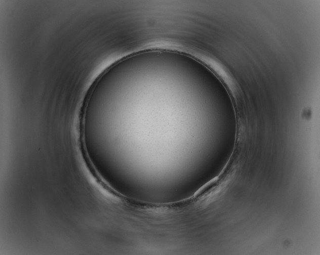 X0000101140999200807071122