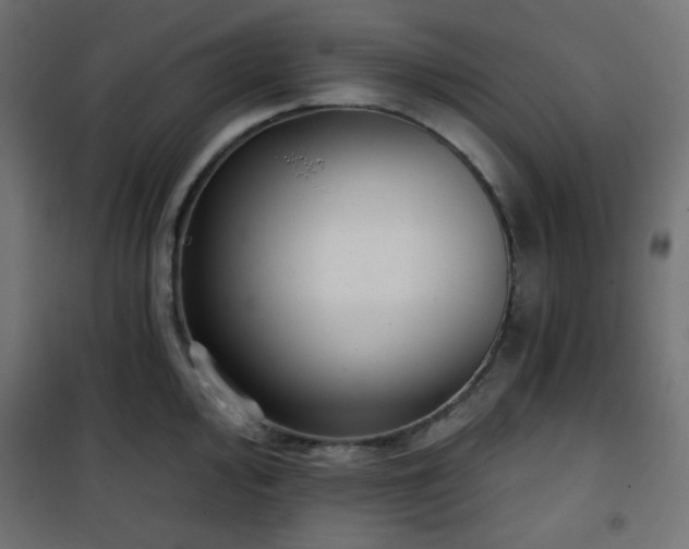 X0000101141000200807071122