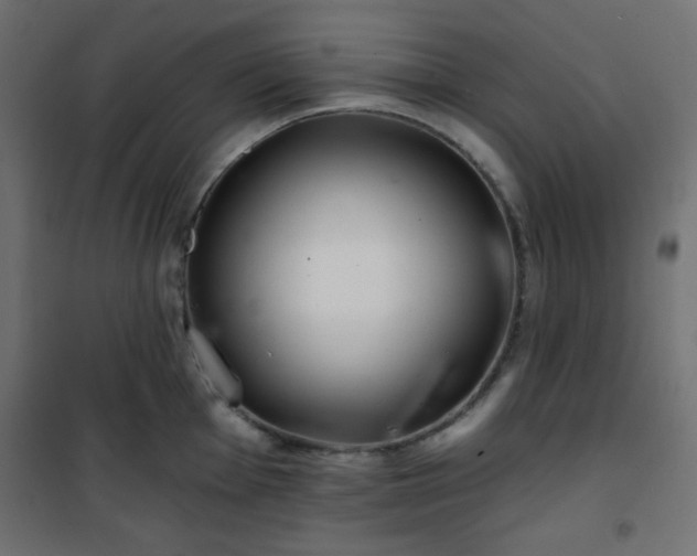 X0000101141001200807071122