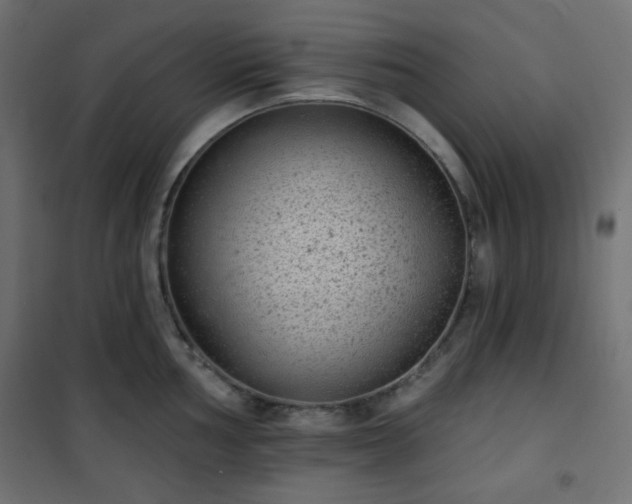 X0000101141002200807071121