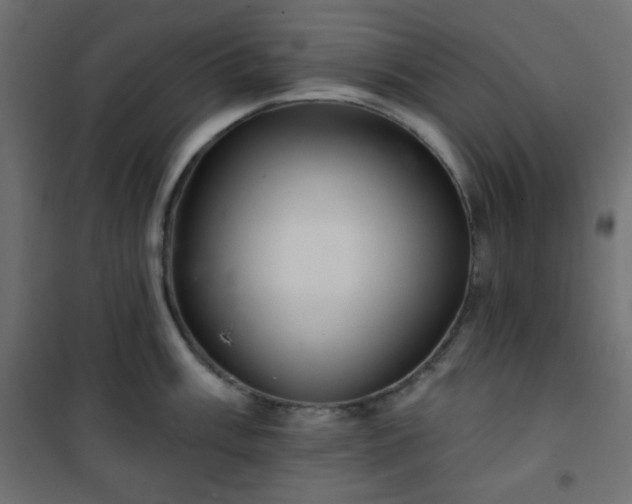 X0000101141003200807071121