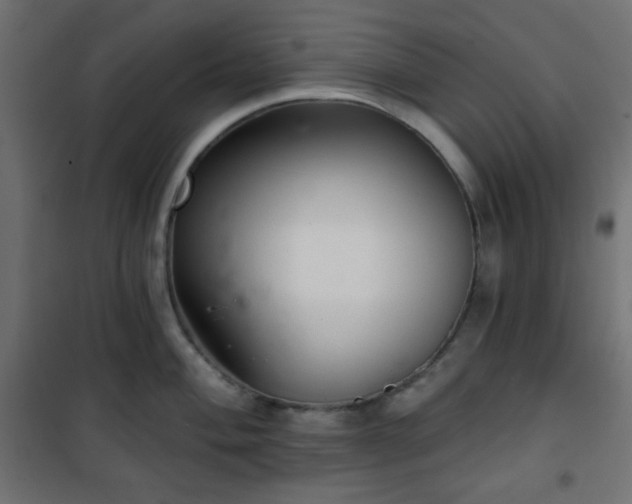 X0000101141004200807071121