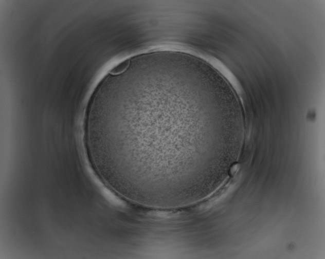 X0000101141005200807071121