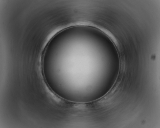 X0000101141006200807071121