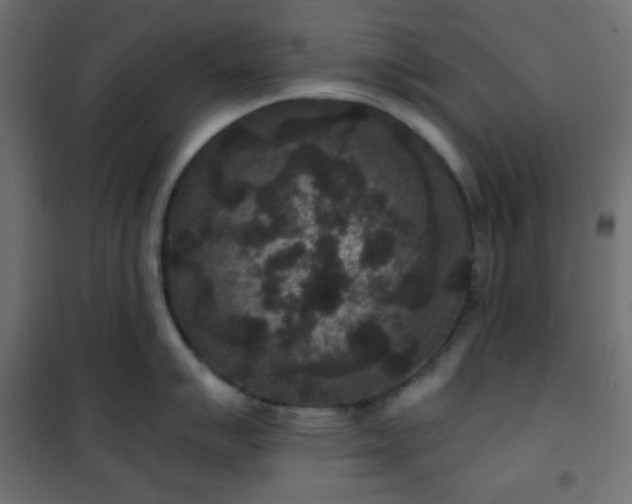 X0000101141007200807071121