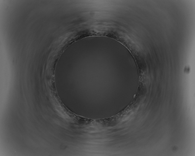 X0000101141009200807071121