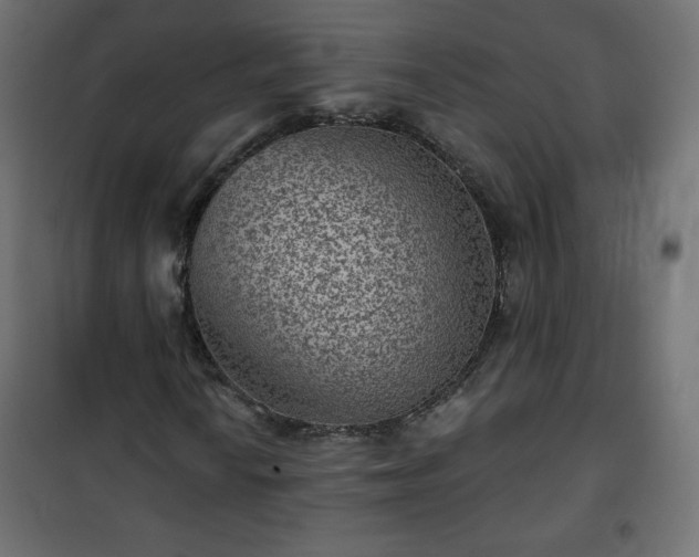 X0000101141010200807071121