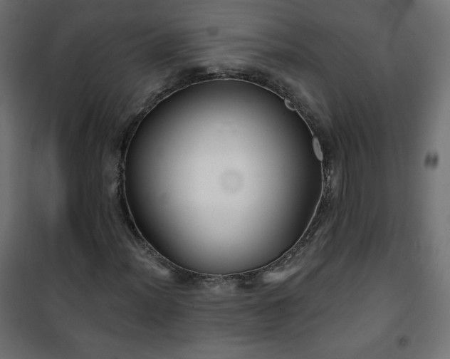 X0000101141012200807071121