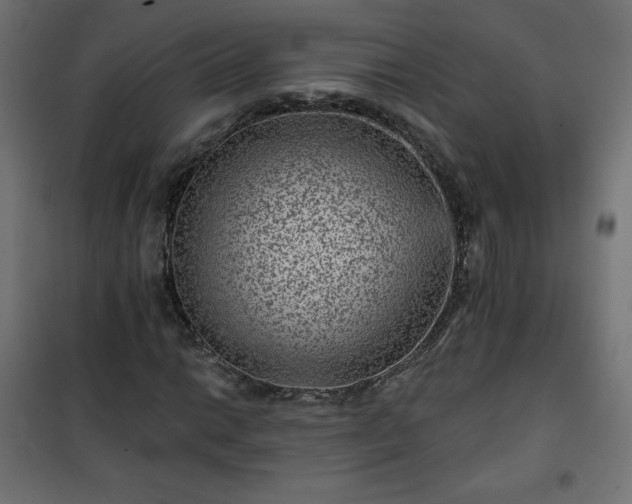 X0000101141014200807071121