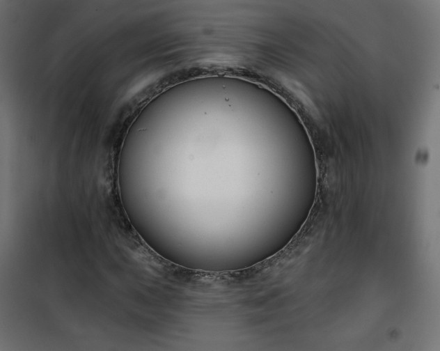 X0000101141015200807071121