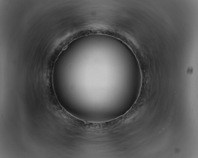 X0000101141016200807071121