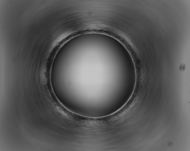 X0000101141018200807071121