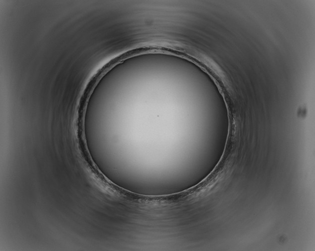 X0000101141020200807071121