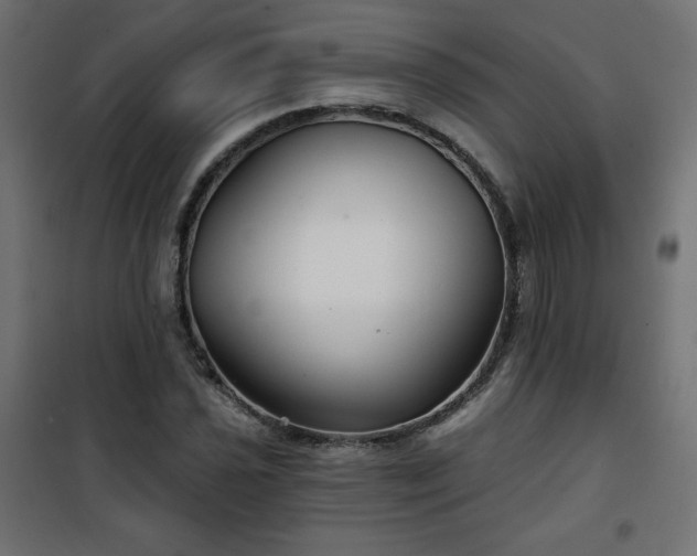 X0000101141021200807071121