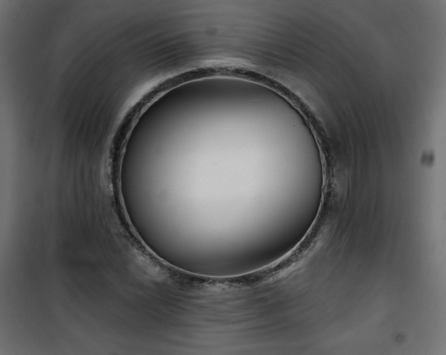 X0000101141022200807071121