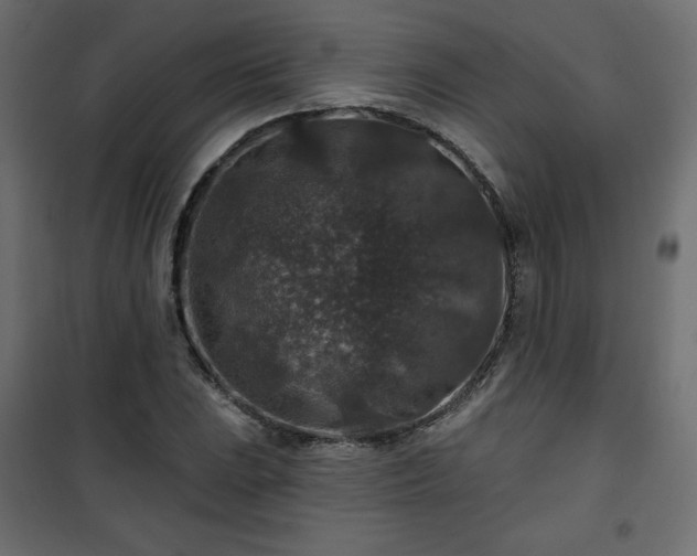 X0000101141023200807071121