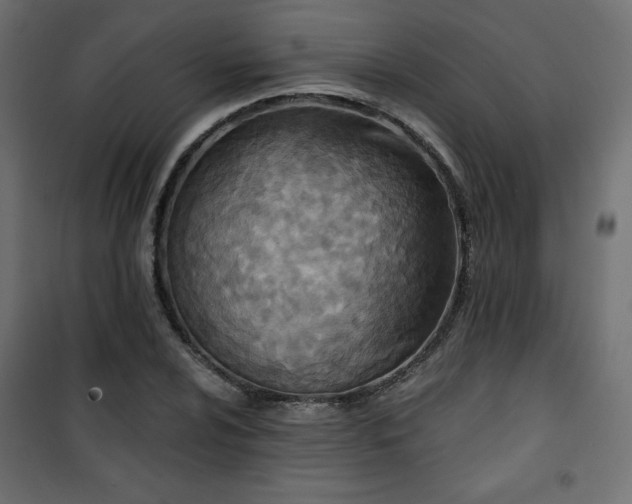 X0000101141024200807071121