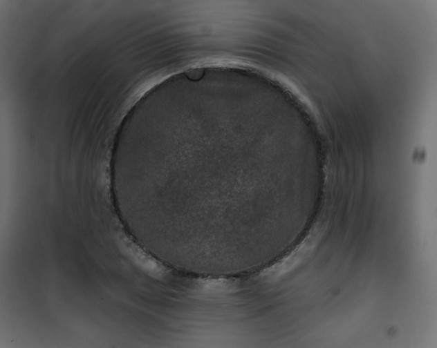 X0000101141025200807071121