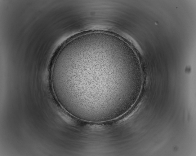 X0000101141027200807071121