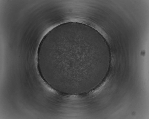 X0000101141028200807071121