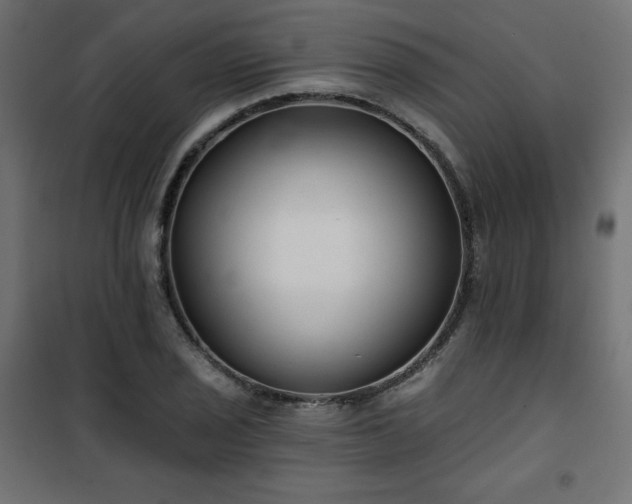 X0000101141029200807071121