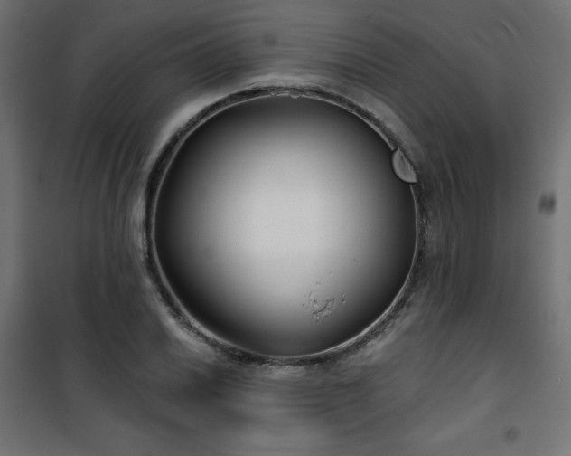 X0000101141030200807071121