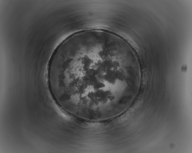 X0000101141031200807071121