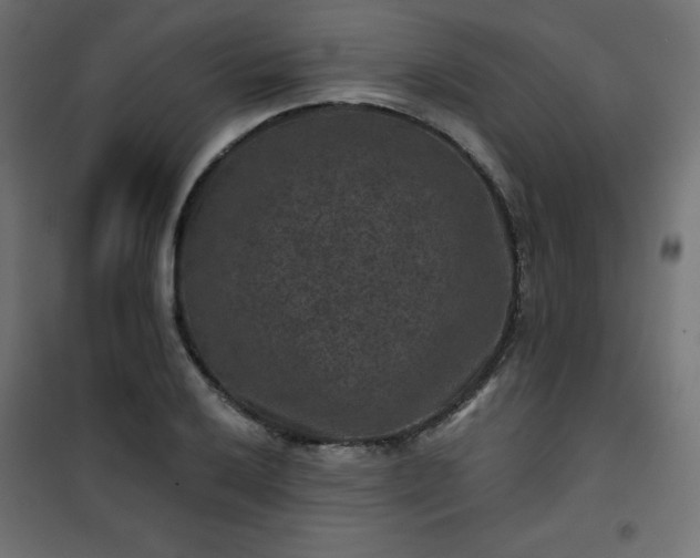 X0000101141032200807071121