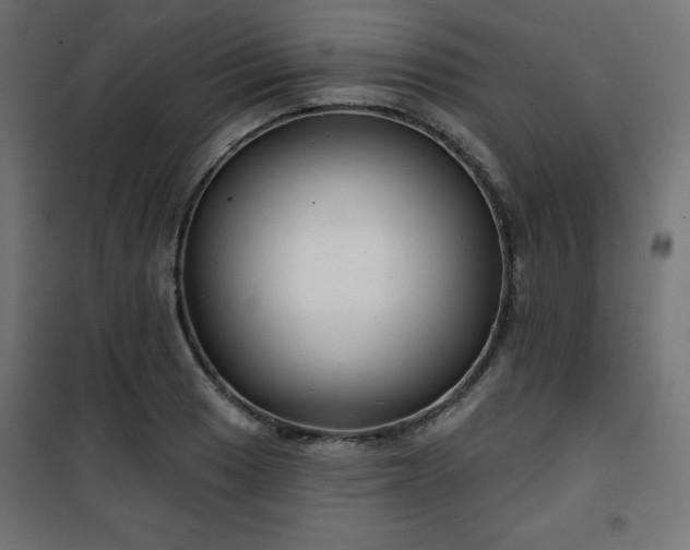 X0000101141033200807071121