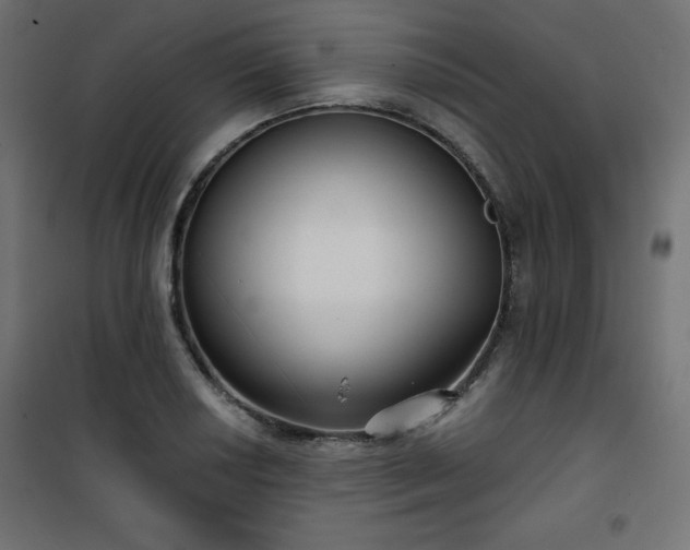 X0000101141034200807071121