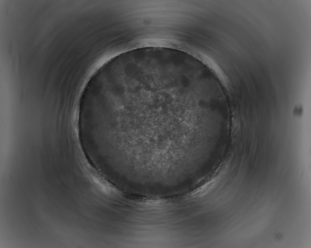 X0000101141035200807071121