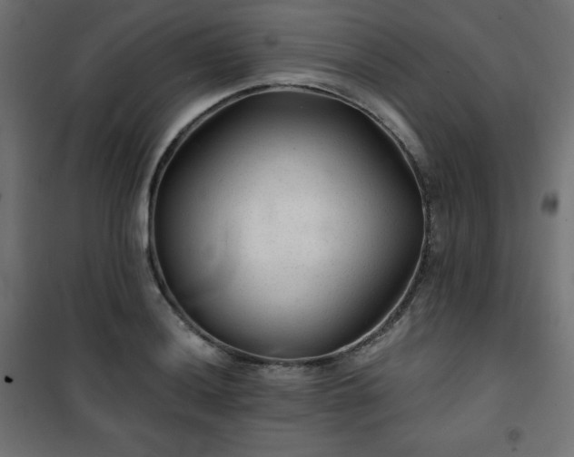 X0000101141036200807071121