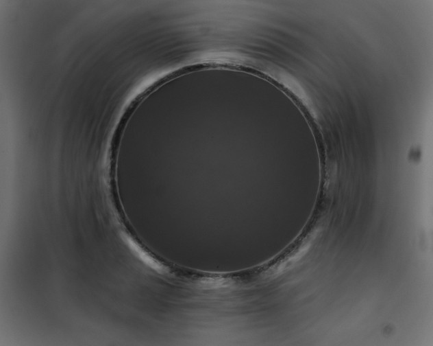 X0000101141037200807071121