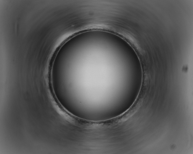 X0000101141038200807071121