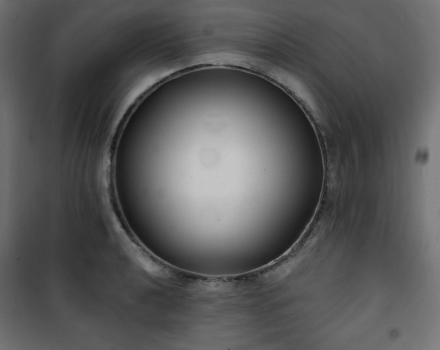 X0000101141040200807071121