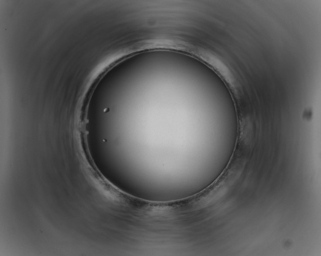 X0000101141043200807071121