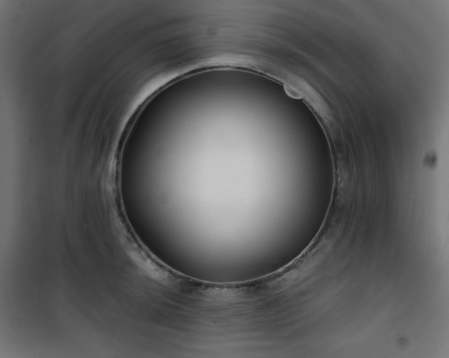 X0000101141044200807071121