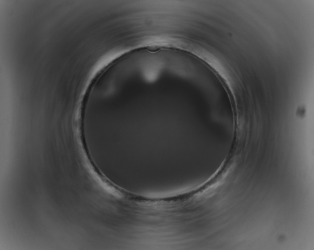 X0000101141045200807071121