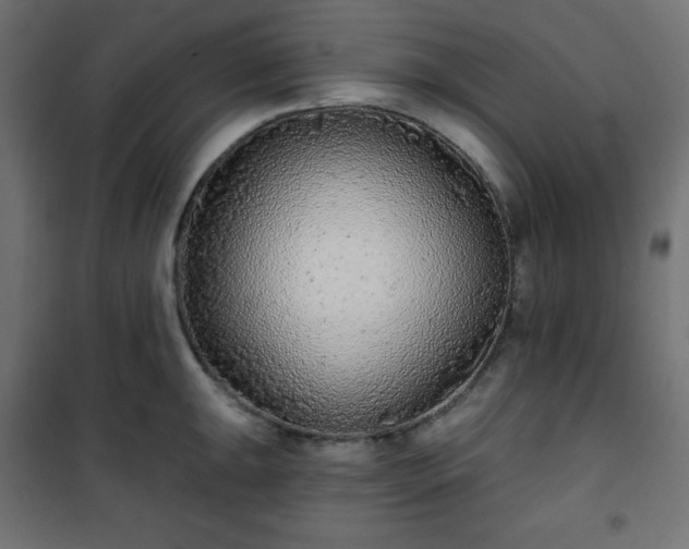 X0000101141047200807071121