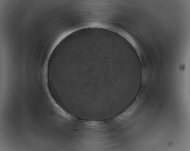 X0000101141048200807071121