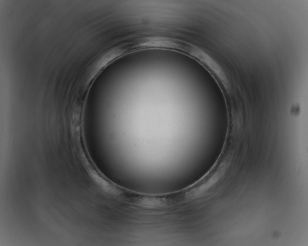 X0000101141049200807071121