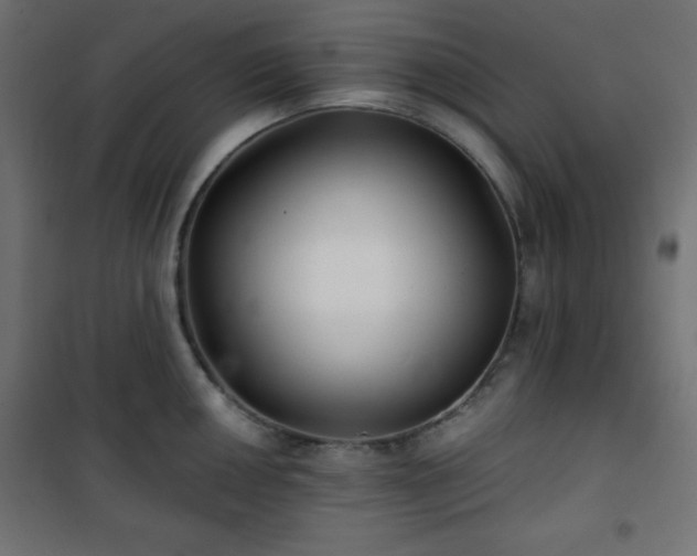 X0000101141050200807071121