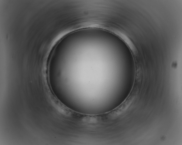 X0000101141051200807071121