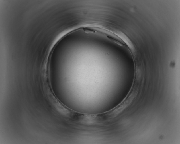 X0000101141052200807071121