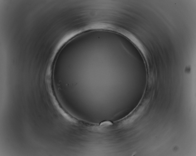 X0000101141053200807071121