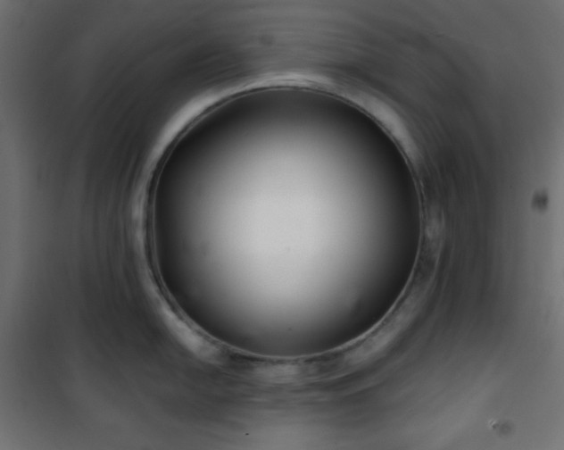 X0000101141054200807071121