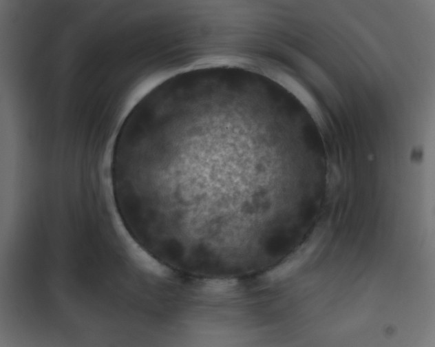 X0000101141055200807071121