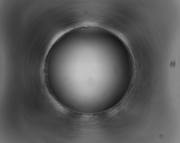 X0000101141056200807071121