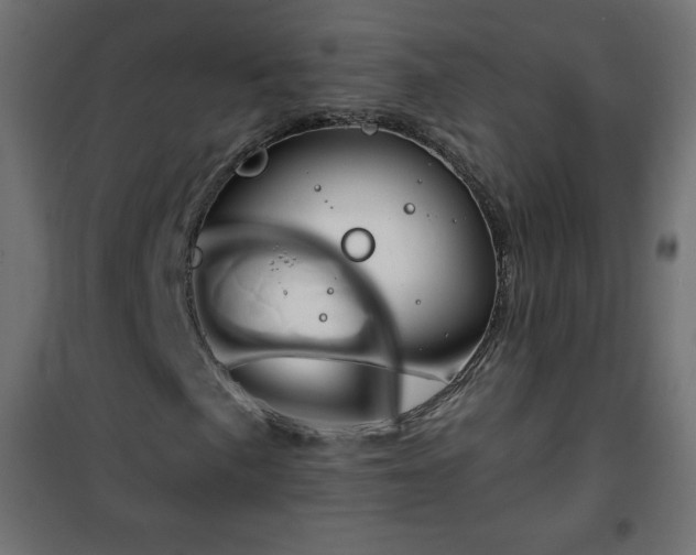 X0000101141057200807071121